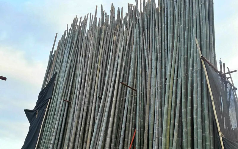 樓頂用竹子搭棚能用多久有所提升？